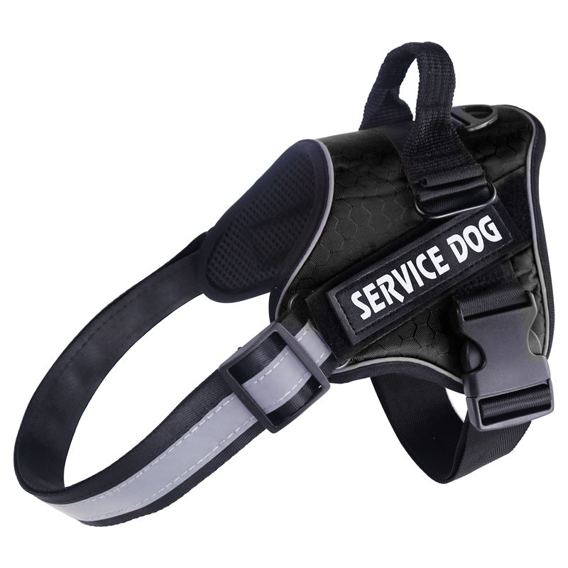 Stylish Pet Safety Harness