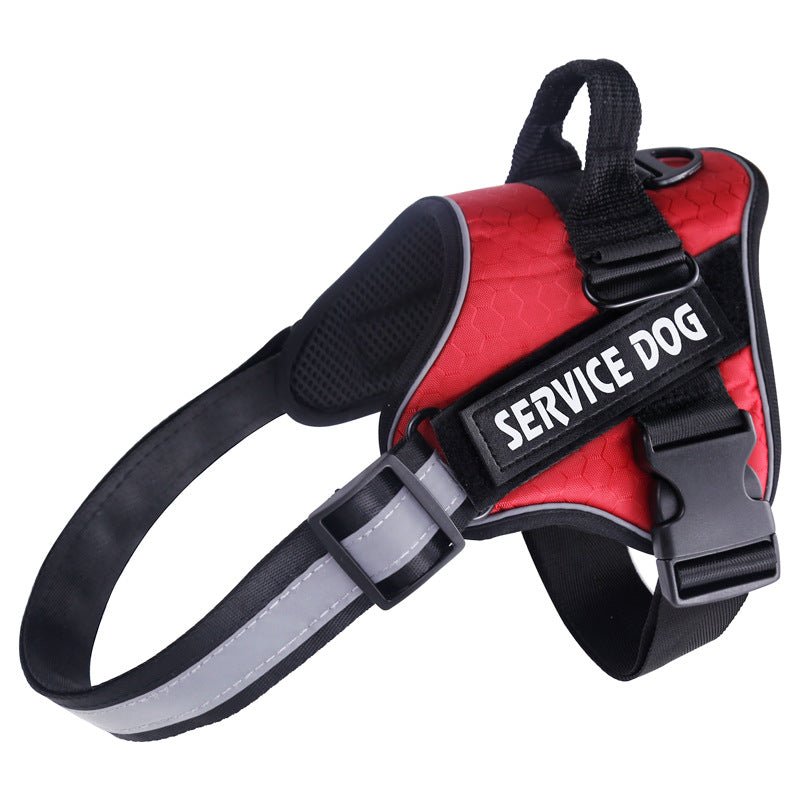Stylish Pet Safety Harness