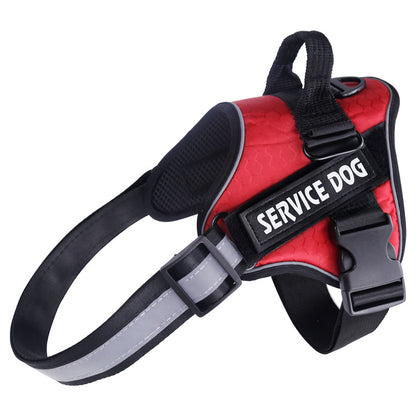Stylish Pet Safety Harness