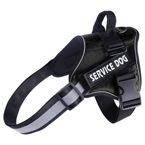 Stylish Pet Safety Harness