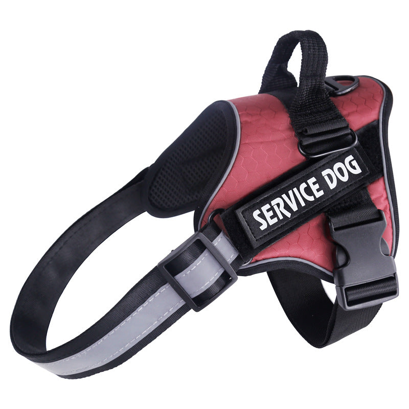 Stylish Pet Safety Harness